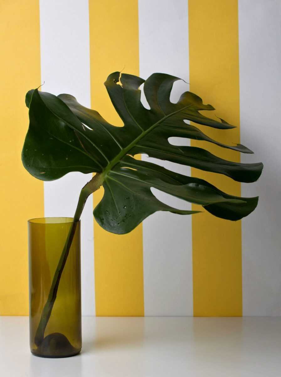 Miurio tapetai „Yellow Stripes“